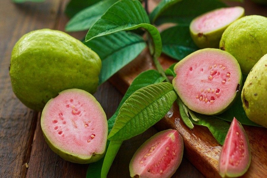 Benefits of Guava to Keep You Healthy and Happy